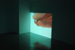 Curatorial Contrasts