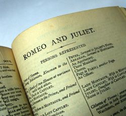 'The God of our idolatry!' Pilgrims and heretics at the birthplace of Shakespeare.