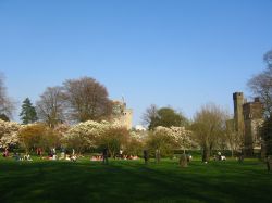 Cardiff Memory Walk 2011