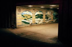 Photographer Gawain Barnard In Discussion with Jessie Alexander