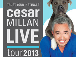 CANCELLED: Cesar Millan - The Dog Whisperer