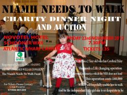 Niamh Needs To Walk - Charity Dinner and Auction Night