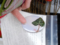 Sun Print Badge Making