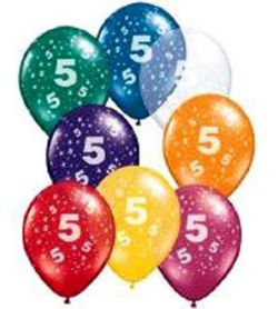 Boulders 5th Birthday Party