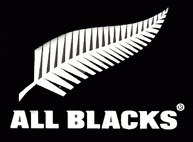 Wales v New Zealand - Autumn Rugby International