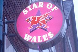 Star of Wales